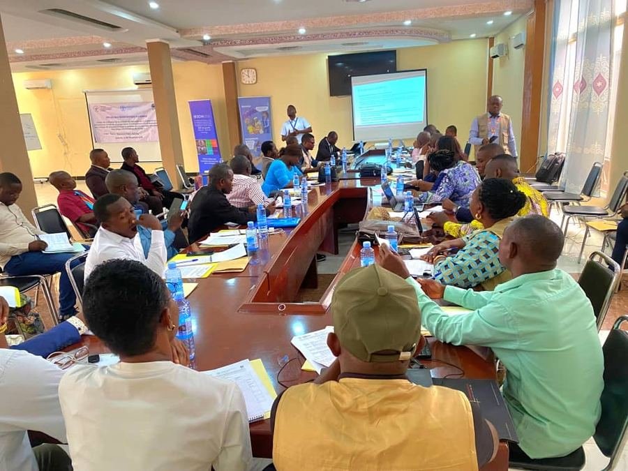 ACE D&H team at an FAO project workshop in a conference room